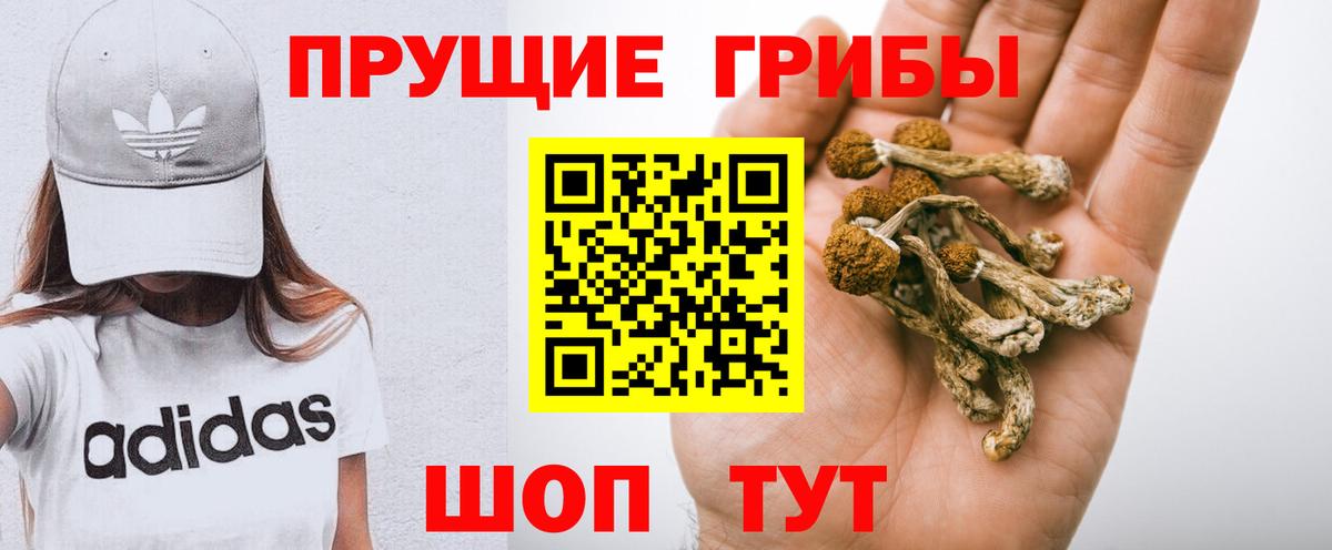 Псилоцибиновые грибы Psilocybe  Вход с VPN  Псилоцибиновые грибы мицелий  Мариинск 